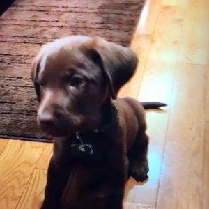 Meet your Posher, Olivia